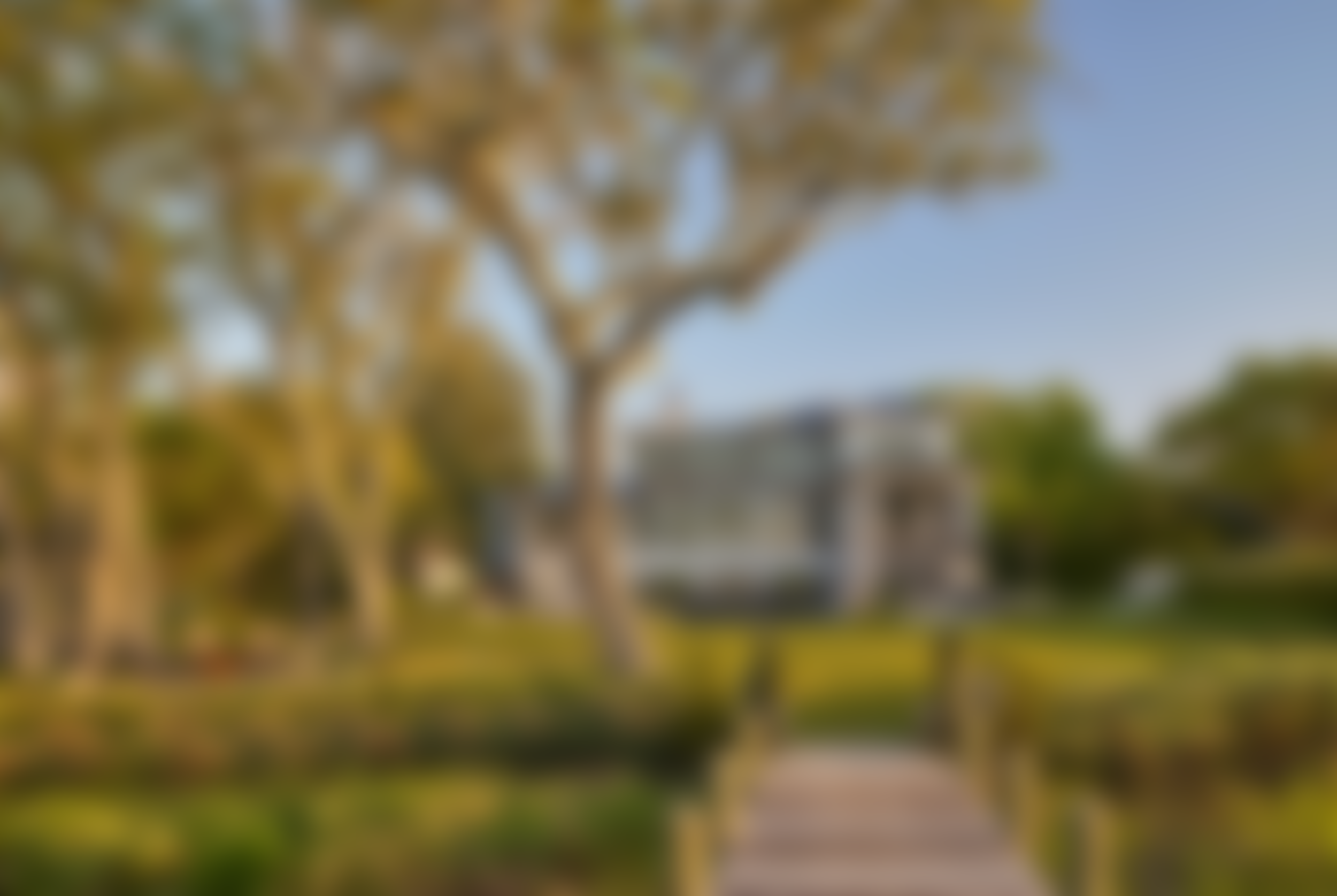 blur for website.png