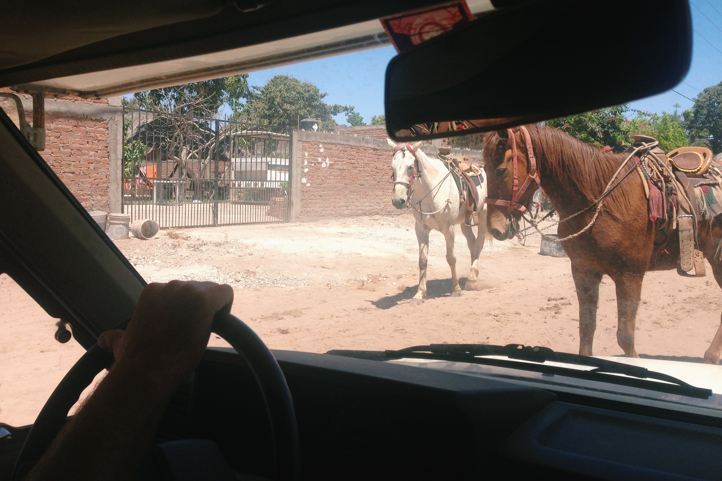 The smoooooth roads with....uh... no pavement and horses in the way.