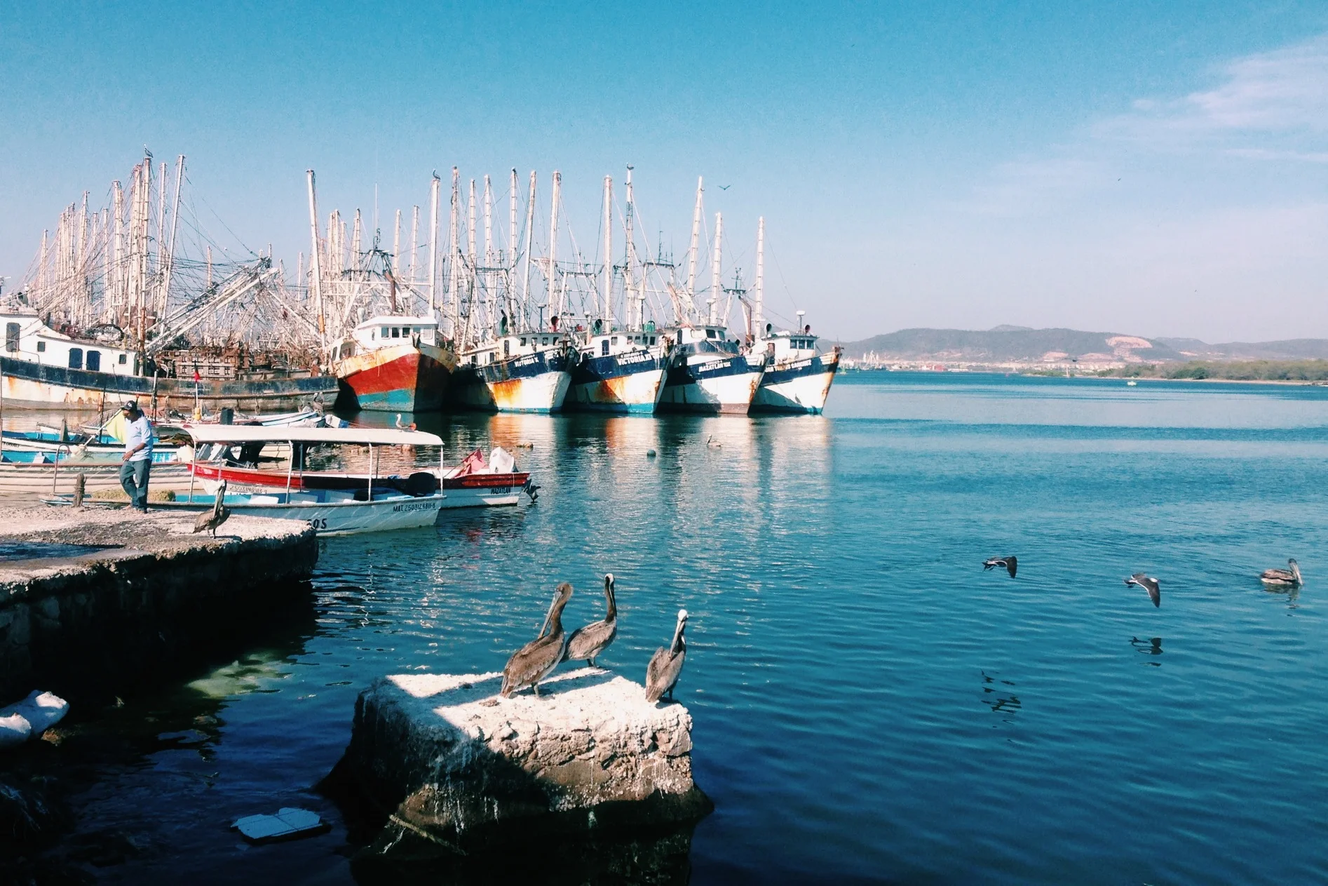 The Panga dock in Mazatlan