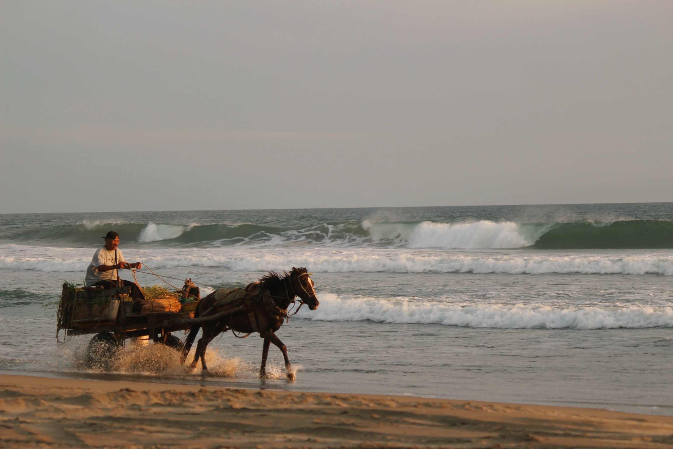 Taking his horse for the daily walk