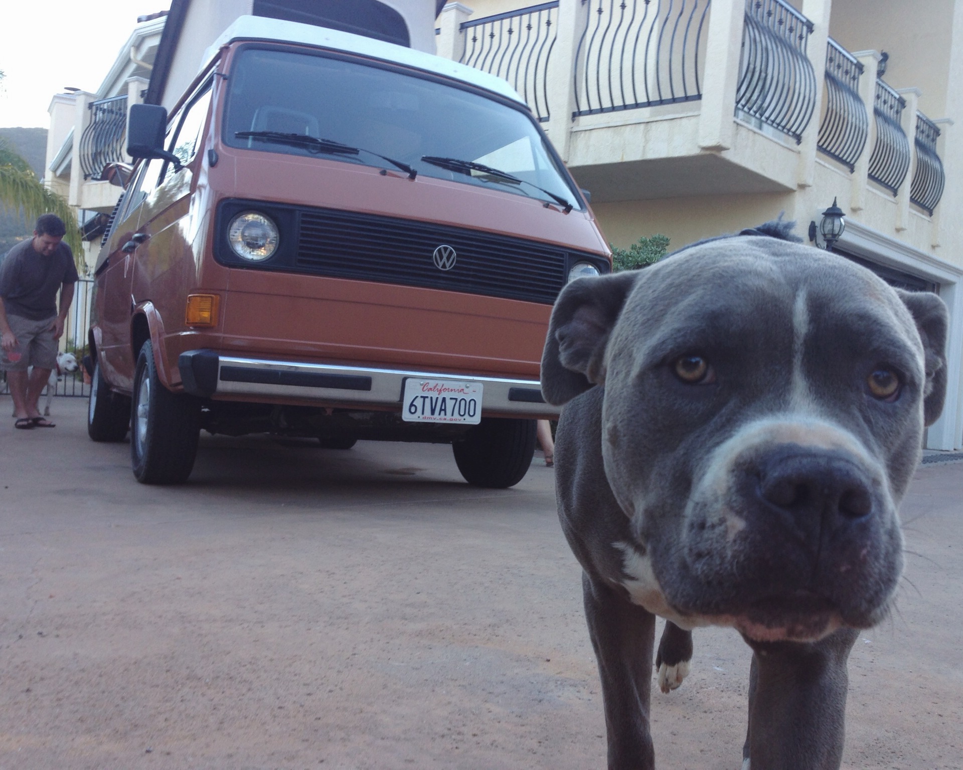 Smokey is quite the model.