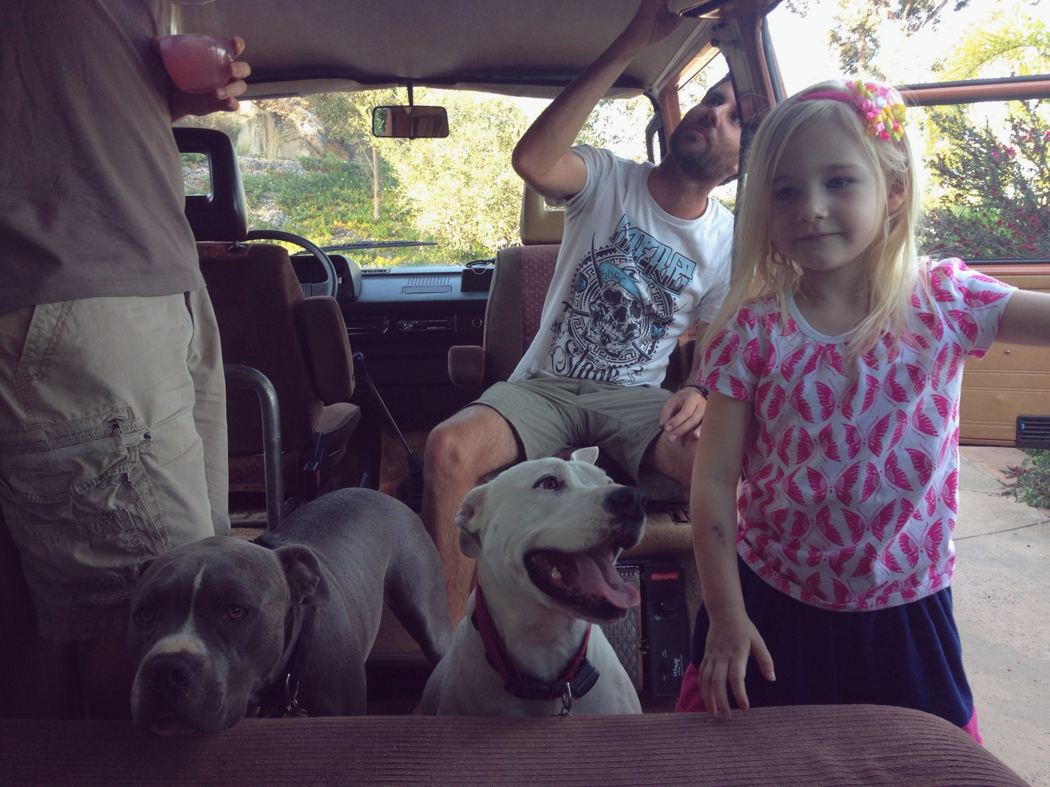 Everyone approves of our Westy!
