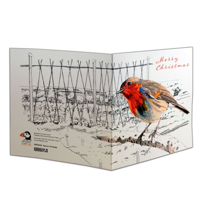 Artfull Puffin Christmas Robin Cards