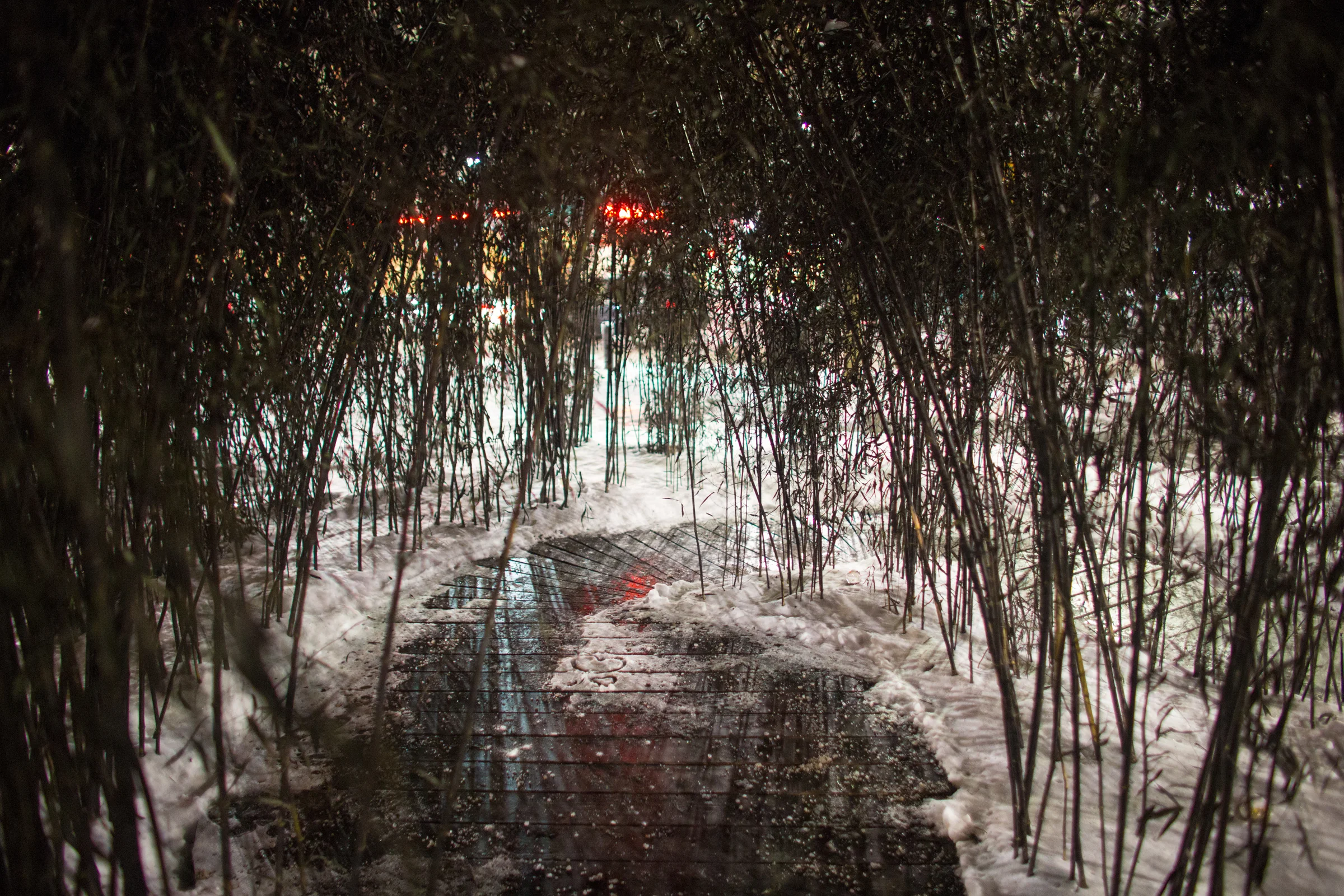 A view inside of the work. Photograph by Renee Rosensteel. 