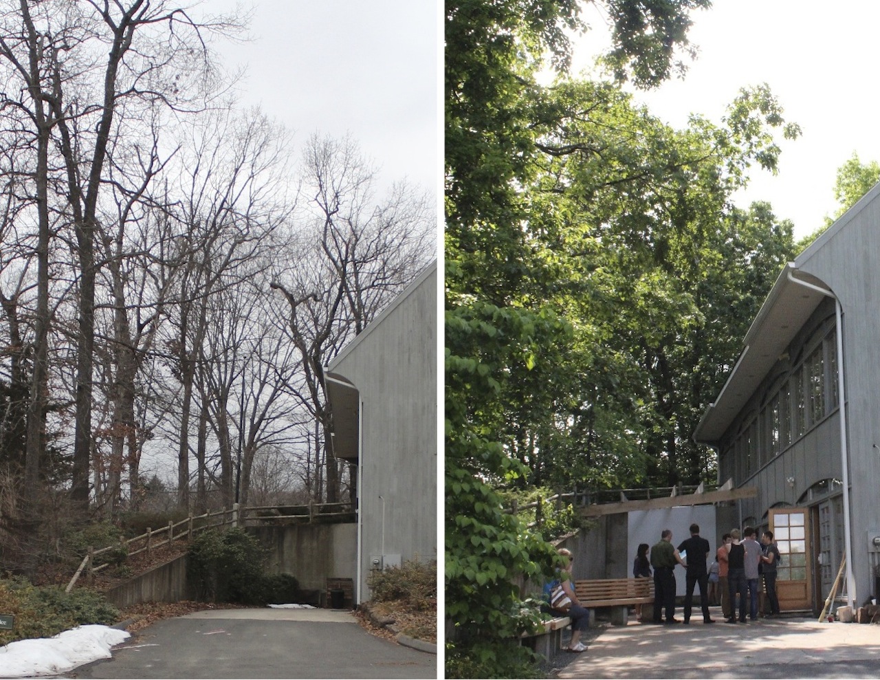 Living Courtyard, before and after, Connecticut Forest and Parks Association, Rockfall, CT. May 2012.