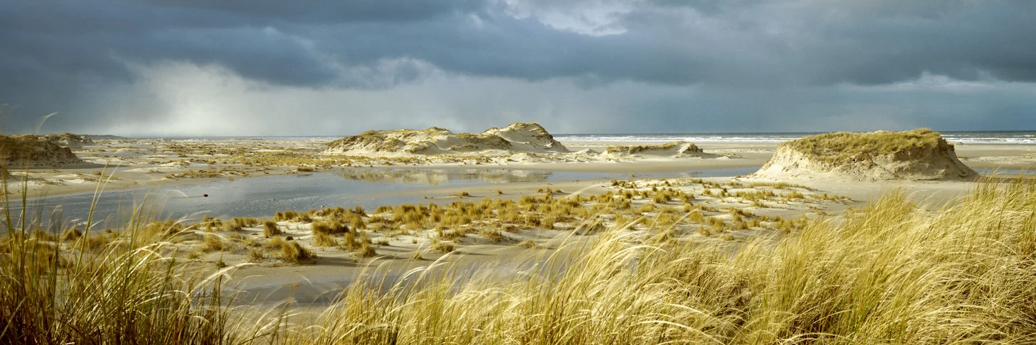 Nordstrand - Norderney, 2008