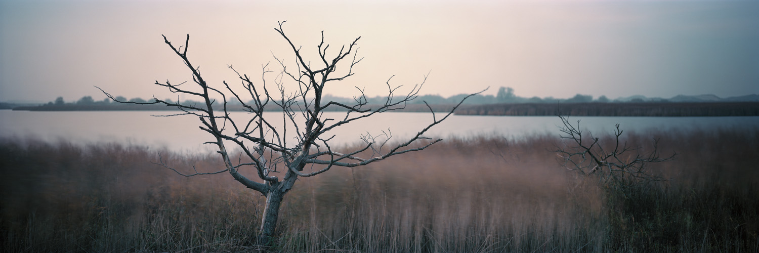 Im Polder - Norderney, 2009