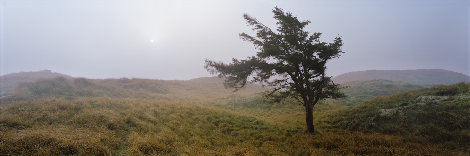 Herbst - Norderney, 2010