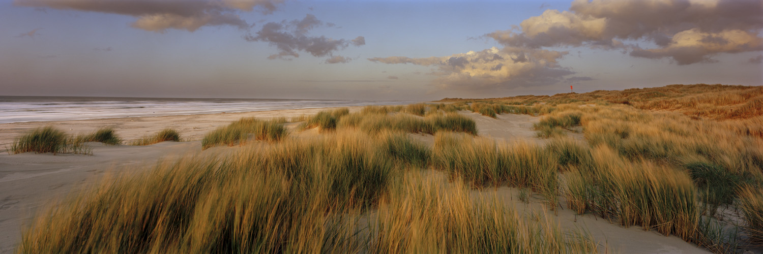 Pionierdünen - Langeoog, 2007