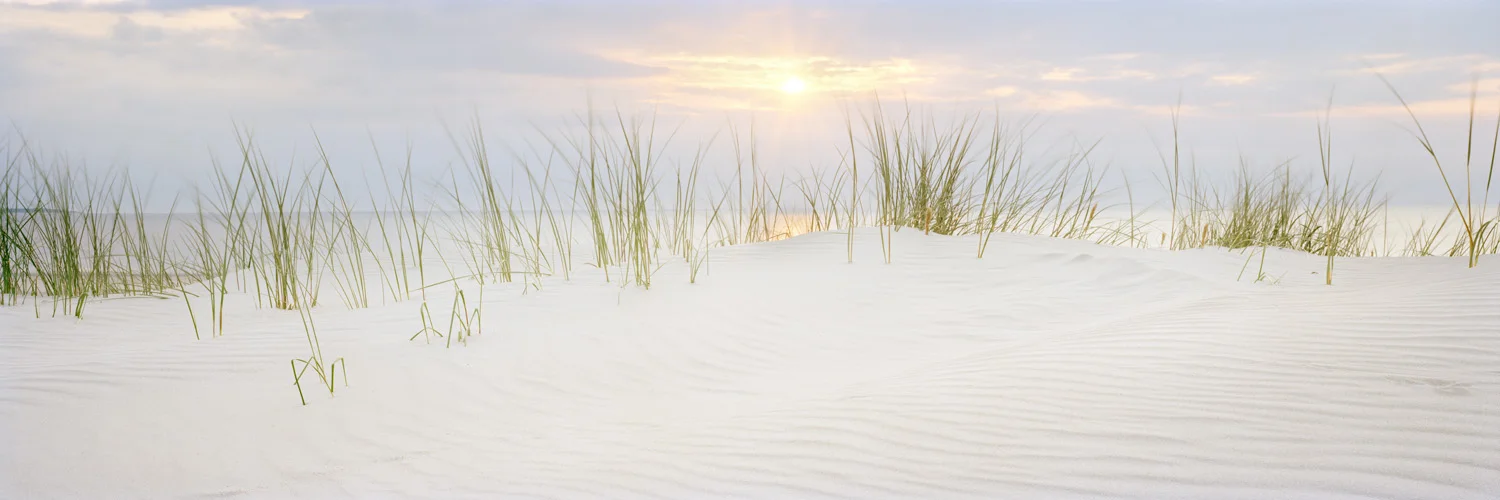 Weisse Düne - Langeoog, 2008