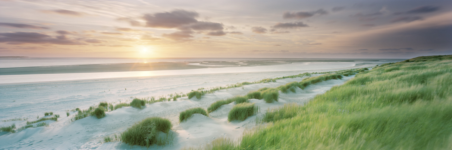 Dünengeflüster - Langeoog, 2013