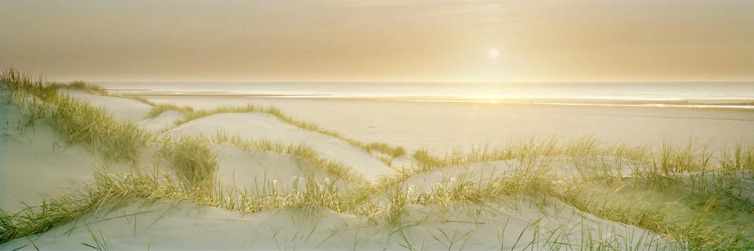 Pionierdünen #2 - Norderney 2011