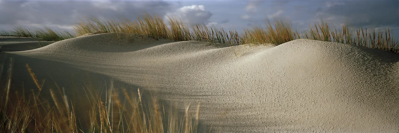 Stranddünen - Juist, 2009