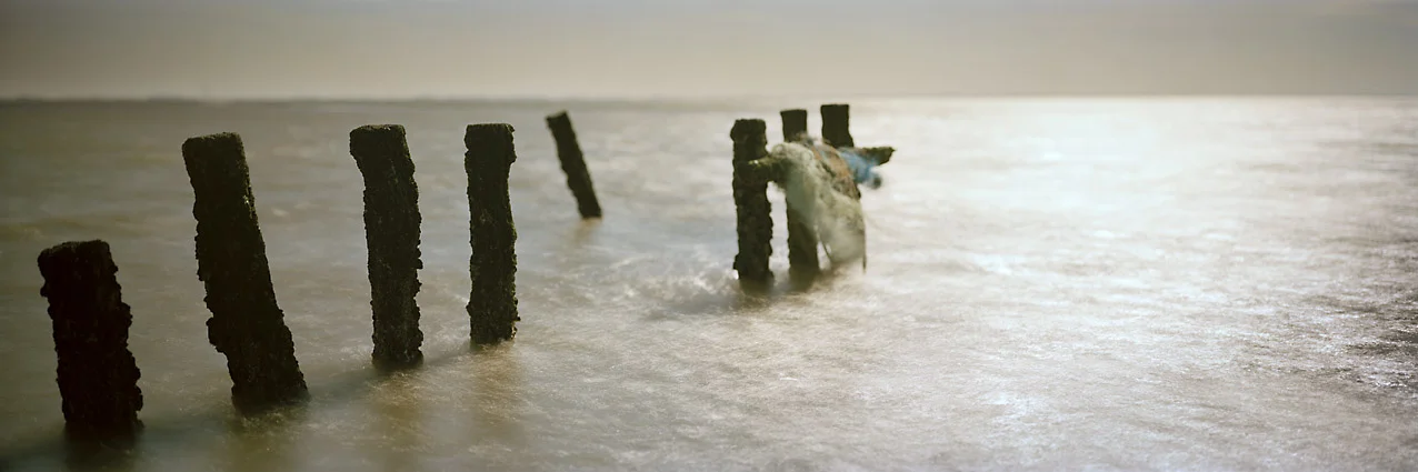 Westkopf #2 - Spiekeroog, 2009