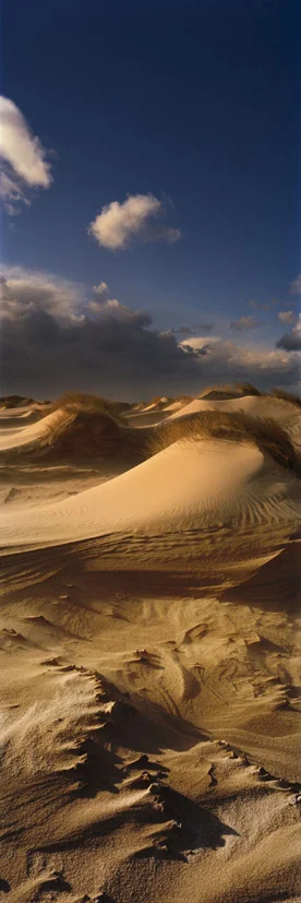 Wanderdüne #1 - Sylt, 2008