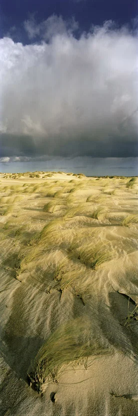 Weite Düne - Sylt, 2012