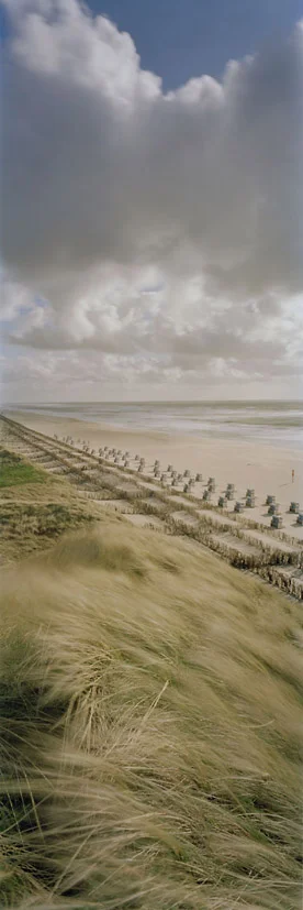 Klappholtdünen #1 - Sylt, 2012