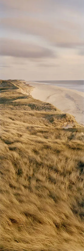 Klappholtdünen #3 - Sylt, 2012