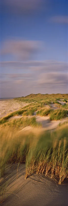 Spätsommer #2 - Langeoog, 2011