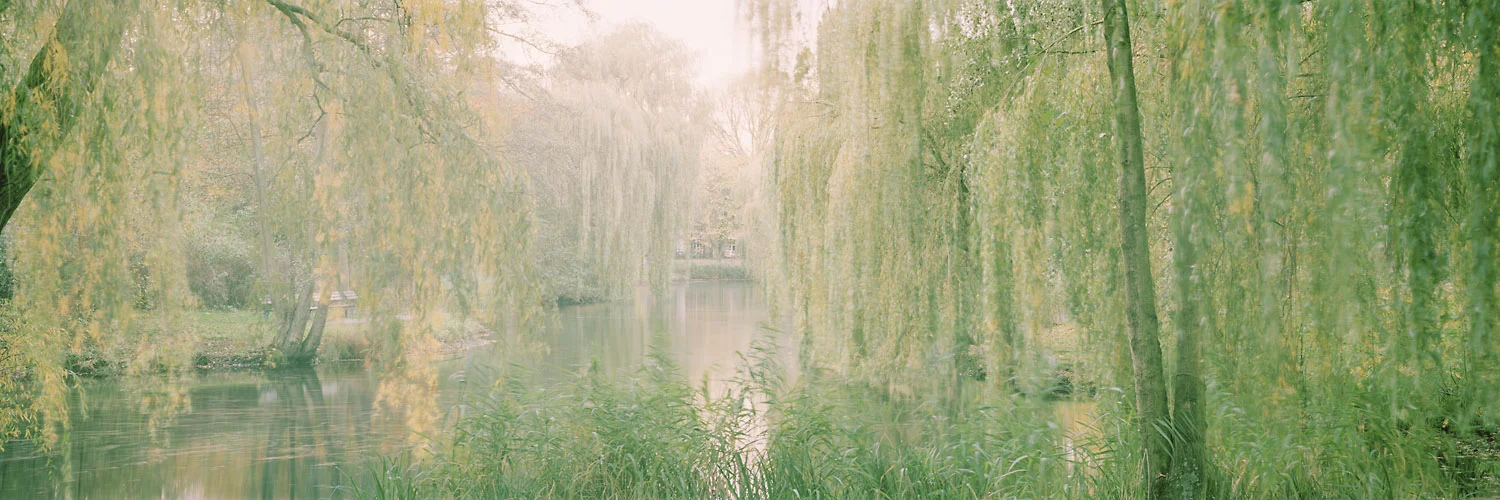 Weiher - Hamburg, 2014