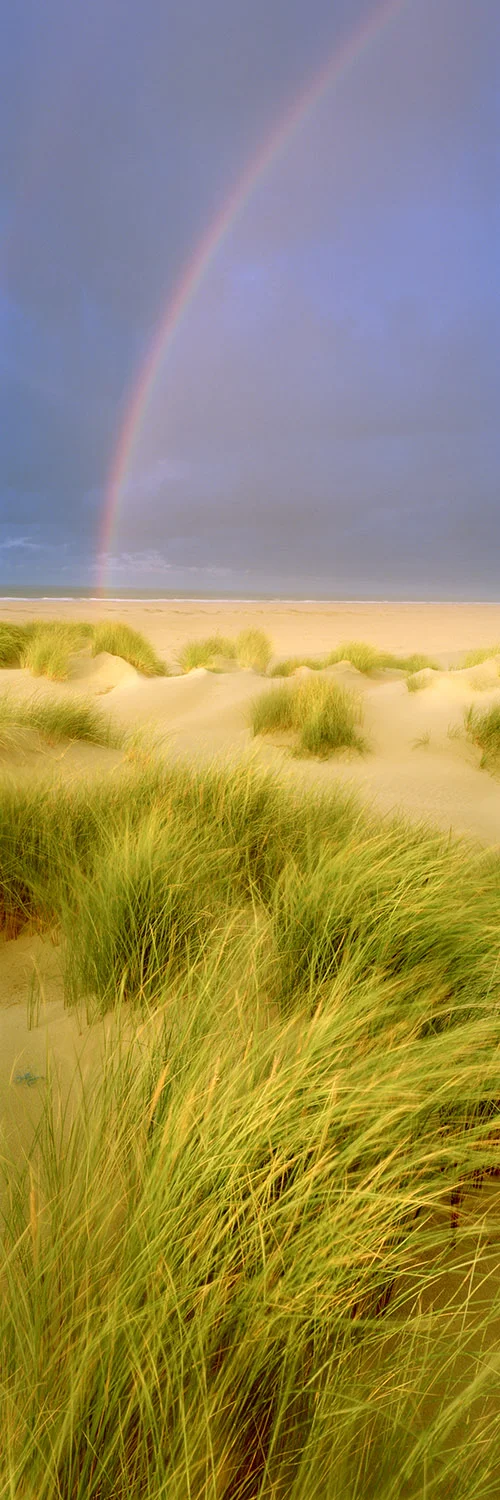 Neuland - Norderney, 2016