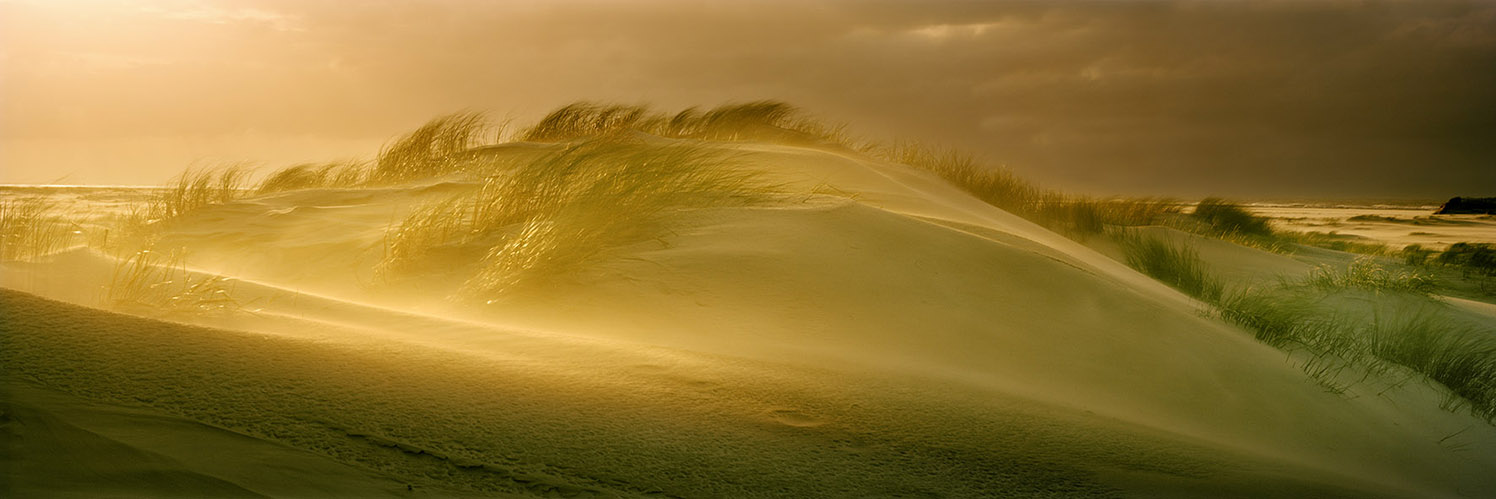 Windsbraut - Norderney 2008