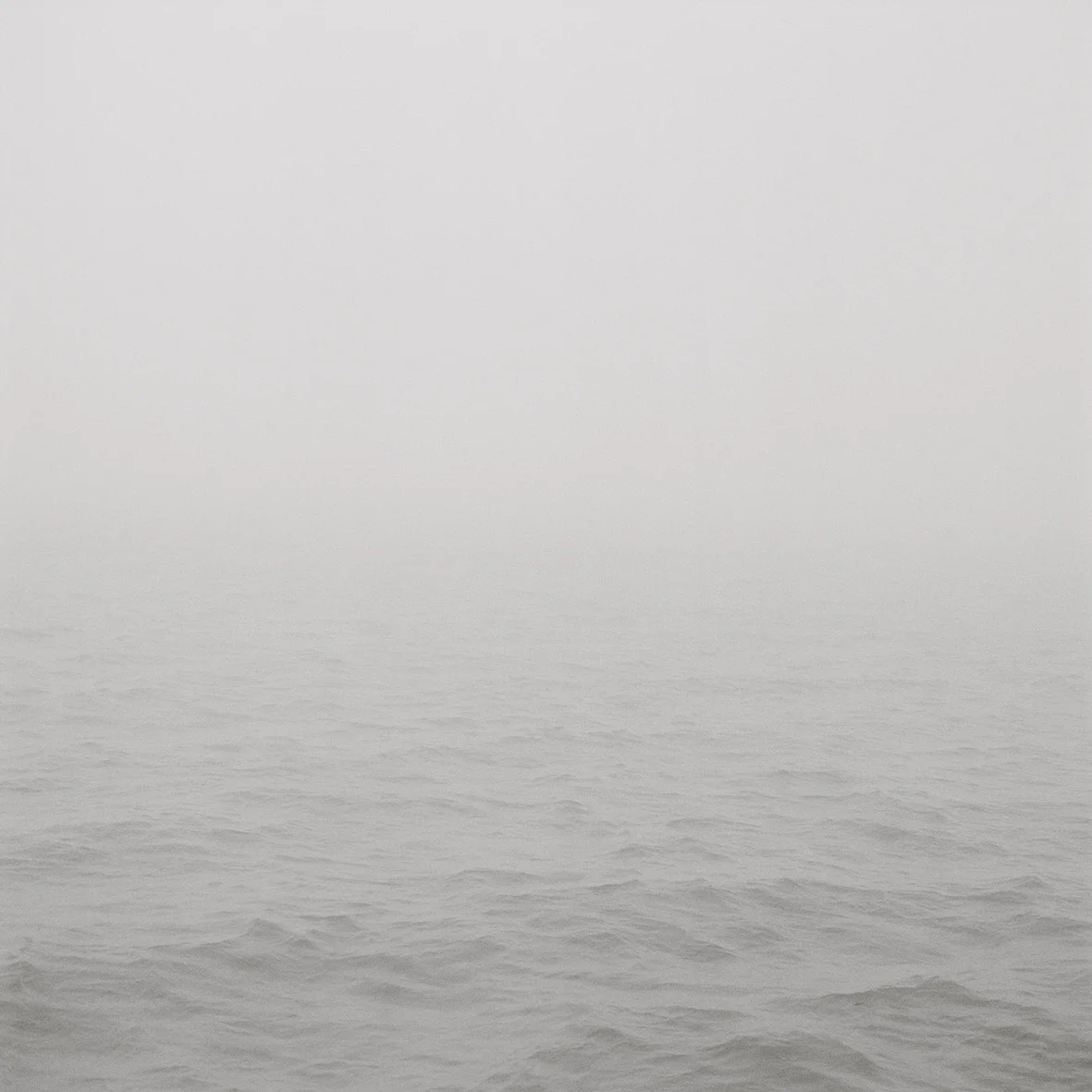 06_19_01_Loog_Nebel_web.jpg