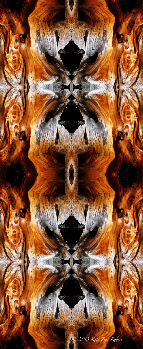 rumis-dance.jpg