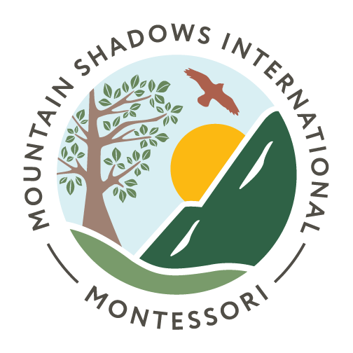MSIM_Logo.png