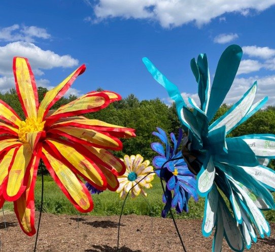 🌼 Experiments in Public Art: Molly Gambardella 🌍

Free lecture and interactive experience this weekend with artist Molly Gambardella,. Molly will explore how recycled materials and creative expression can spark conversations about climate change&md