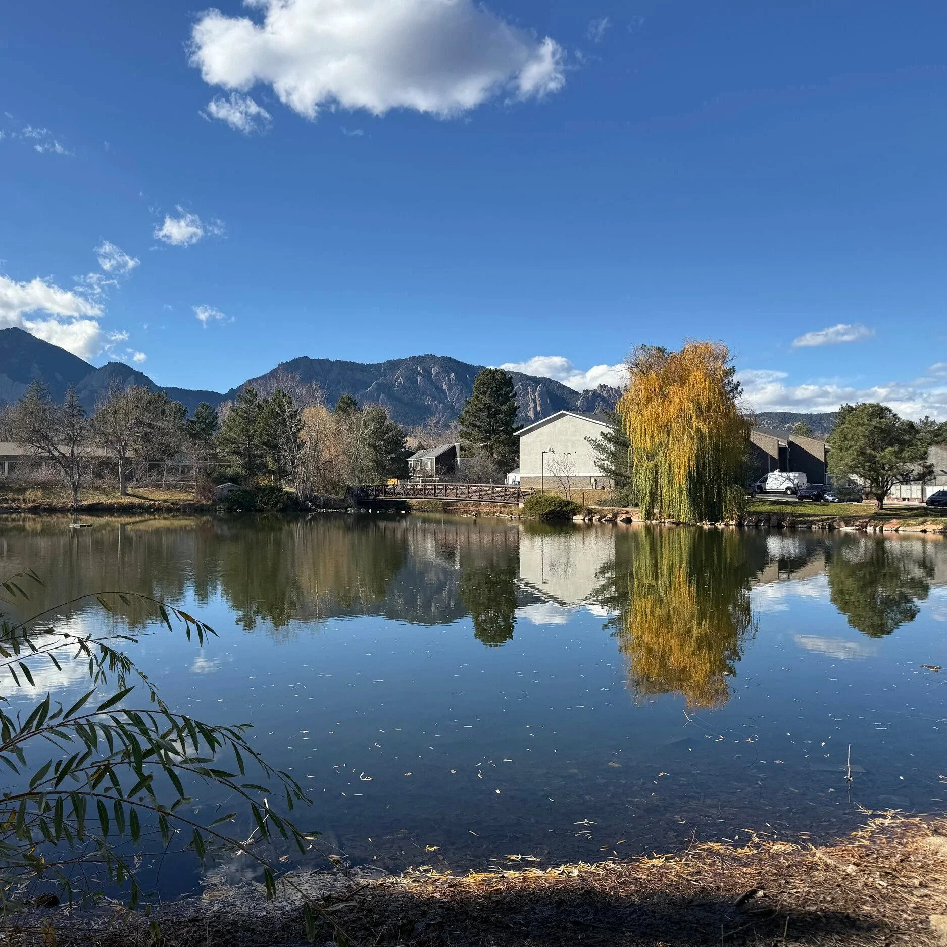 Calling Colorado muralists 🗣️

@streetwisearts is accepting applications for two mural projects at Tantra Lake Apartments! Both opportunities are rooted in community, environment and food justice.

If you&rsquo;re looking for a mural opportunity tha