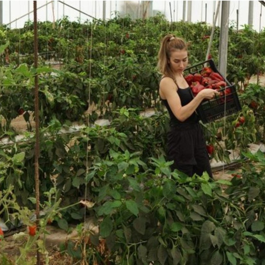 🍲 What do food labels actually mean?

Join @slowfoodboco for Boulder EATS! &ndash; Taste, Learn, Connect, a conversation about how to shop your values, understand labels like organic and regenerative, and learn more about Boulder&rsquo;s local food 