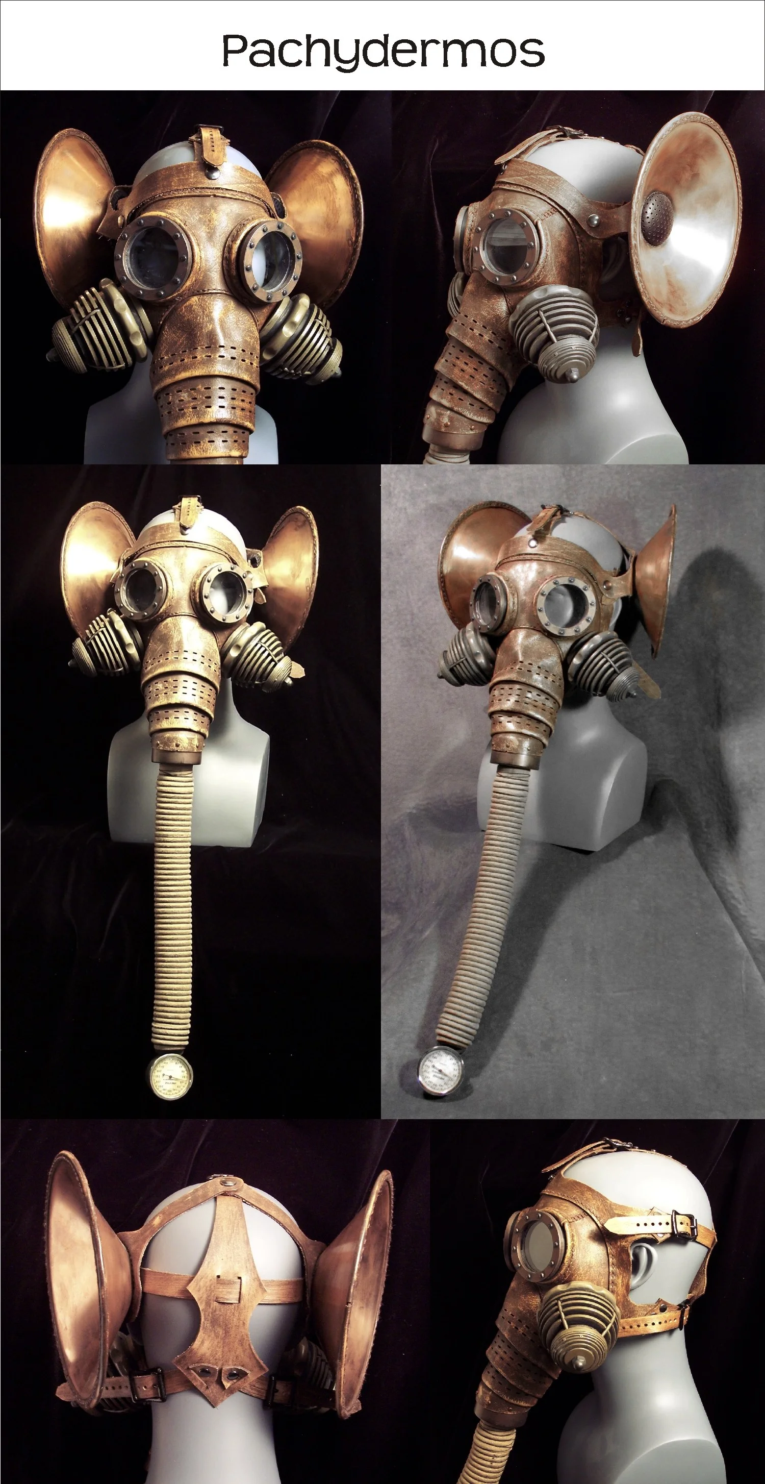 Composite in Pachy and Olif.jpg