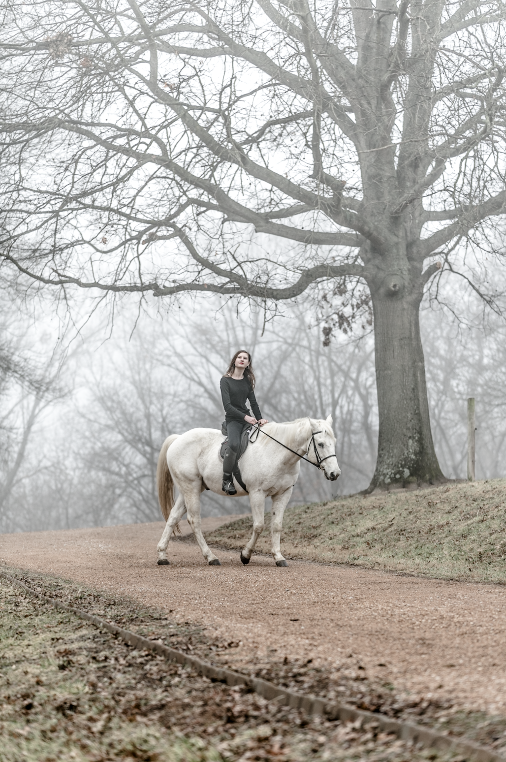 Screen Shot 2017-02-19 at 11.10.58 AM.png