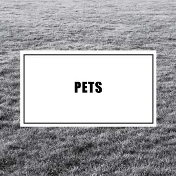 pets