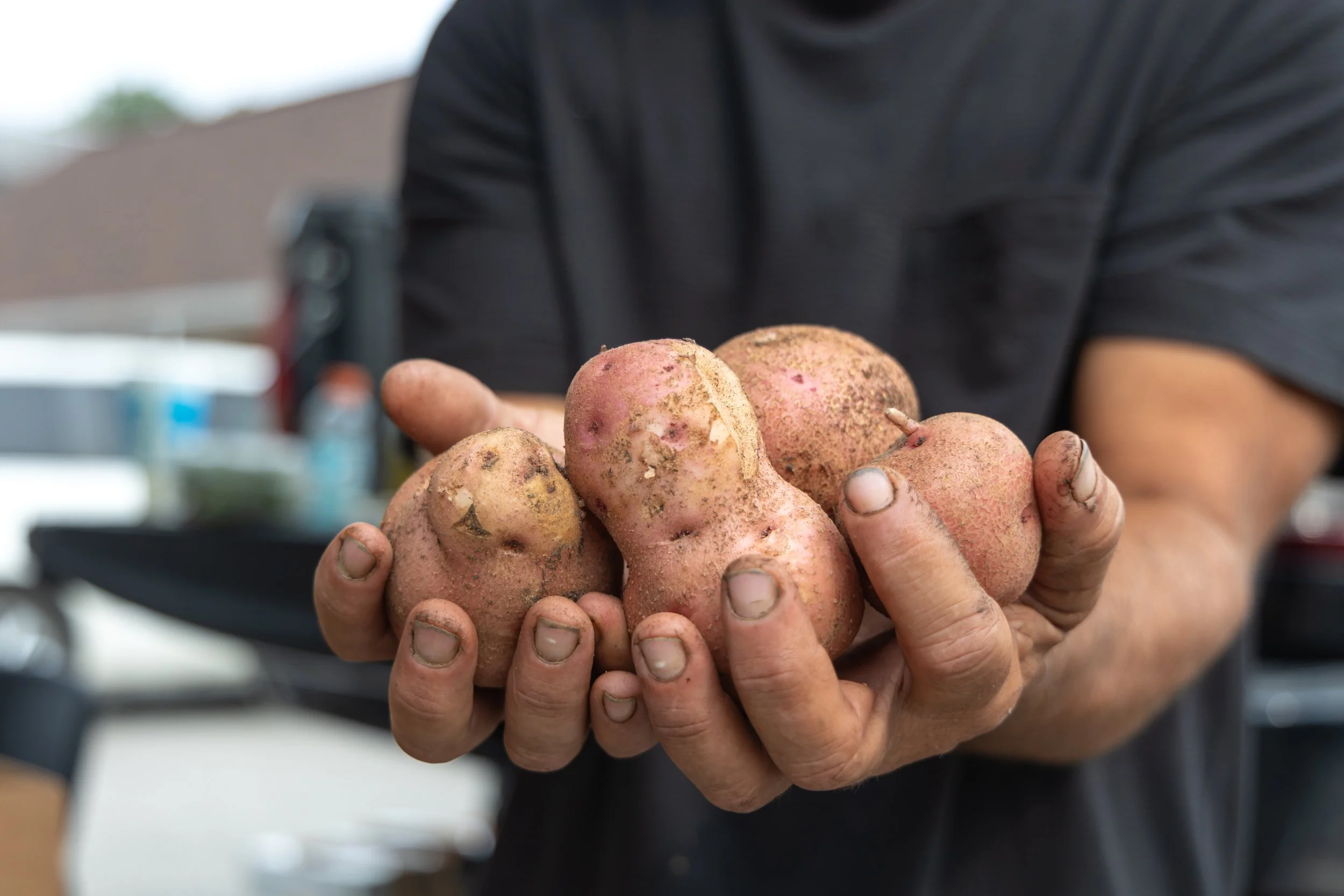 New melle Farmers market-7068.jpg