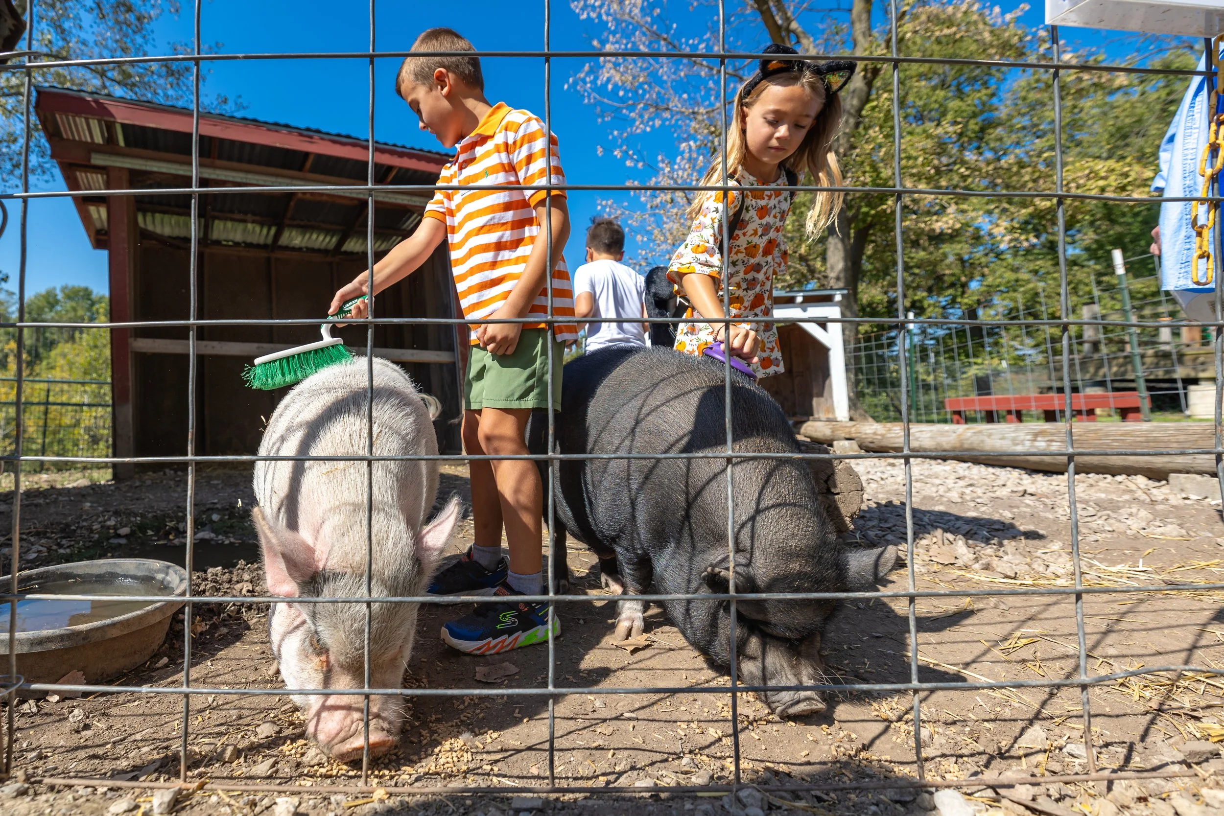 Willoughby Fall Farm Day-4386.jpg