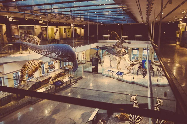 Natural History Museum