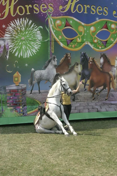 horses2.jpg