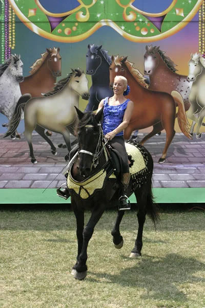 horses5.jpg