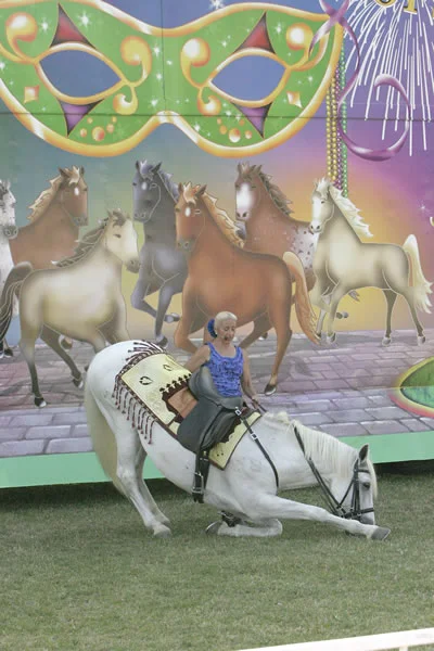 horses6.jpg