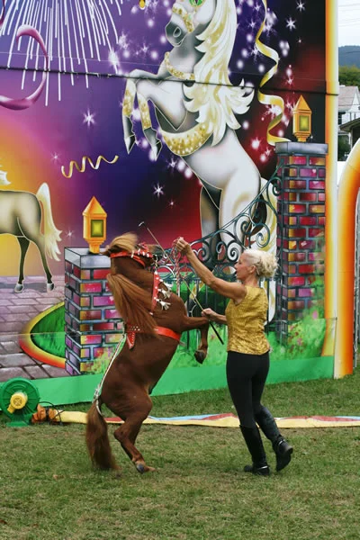 horses7.jpg