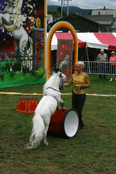 horses8.jpg