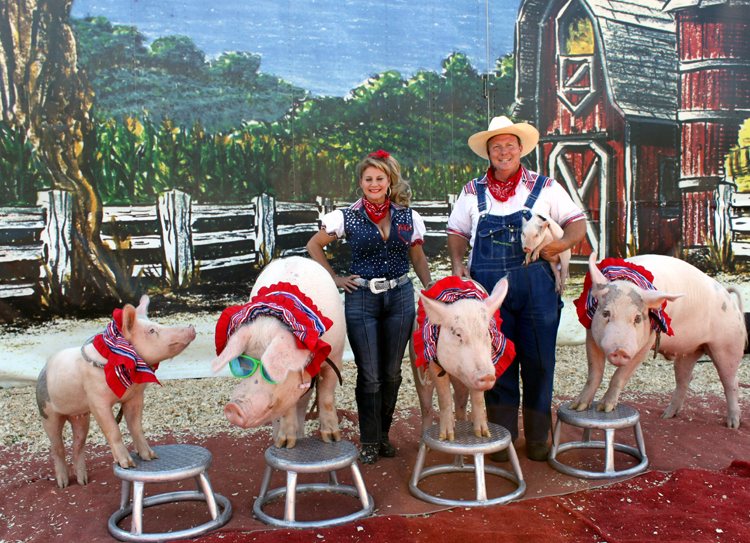 pork chop 124-Processed.jpg