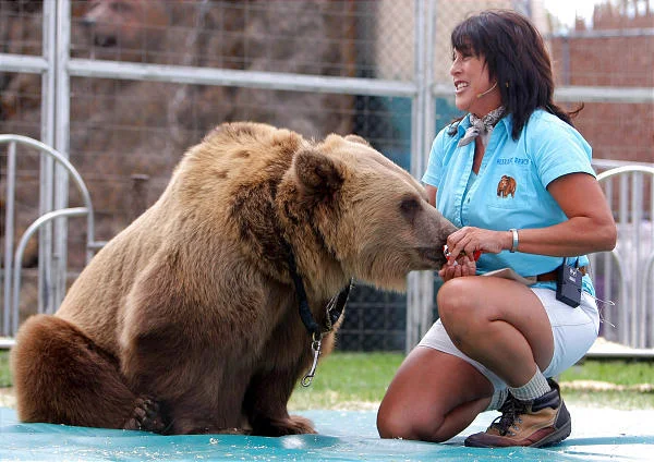 Weldes Bears 3.jpg