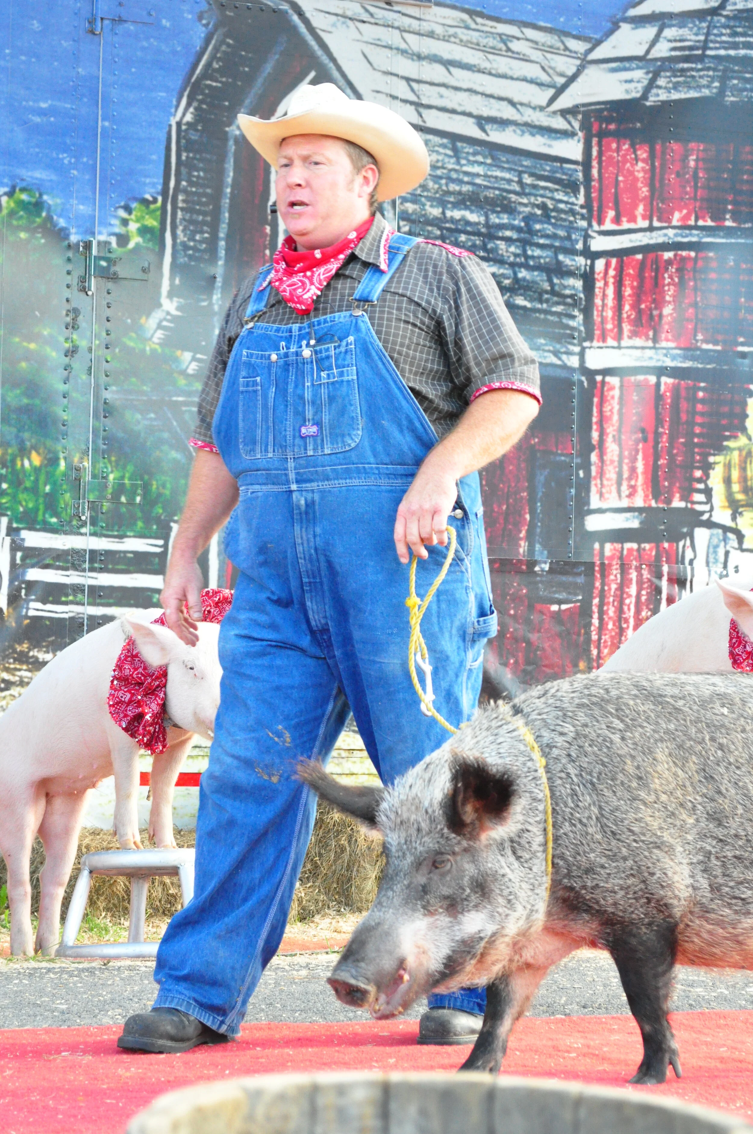Pork Chop Review Show Farmer - Artists & Attractions.JPG