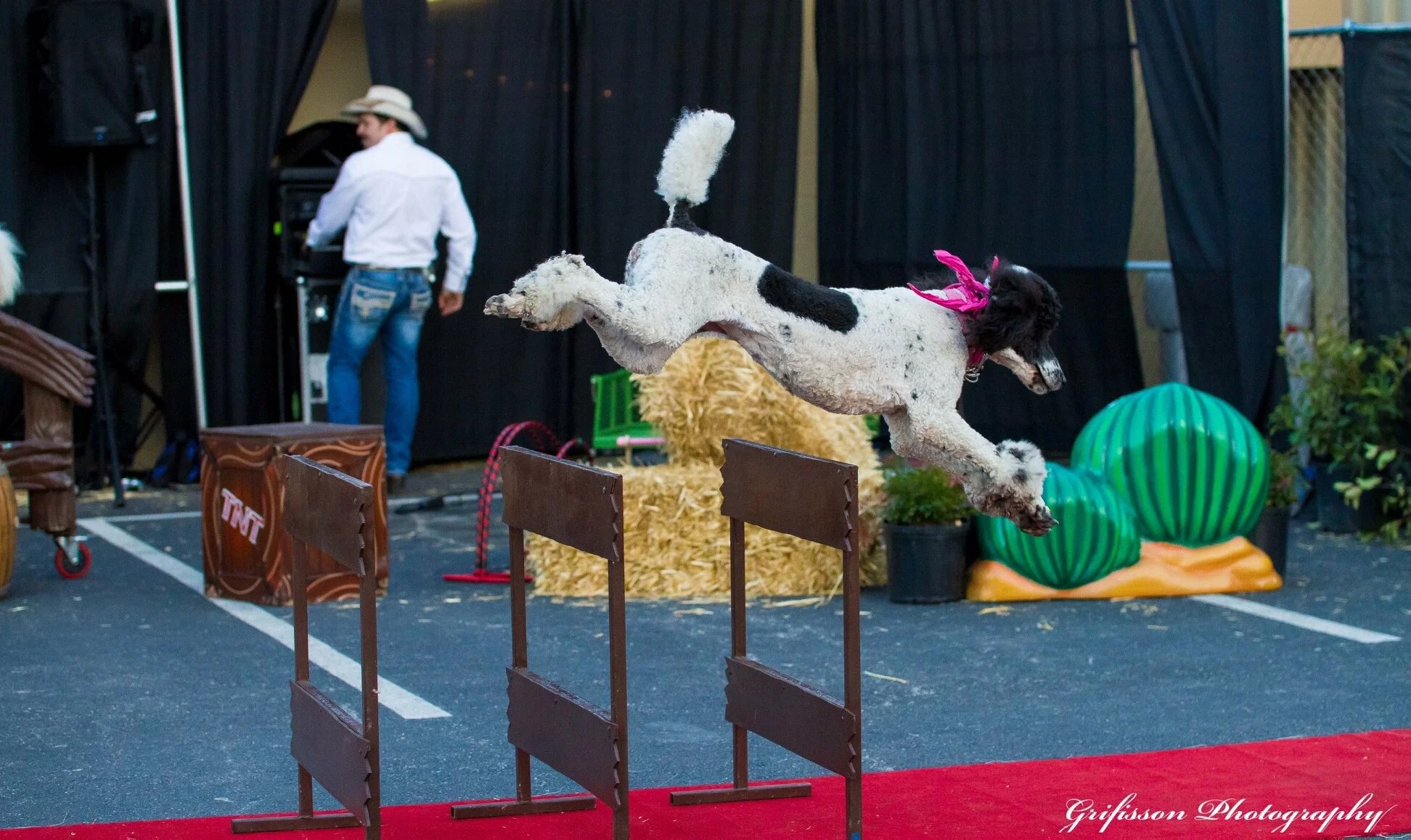 Pompeyo Family & Their Amazing Dog - Artists & Attractions (6).jpg