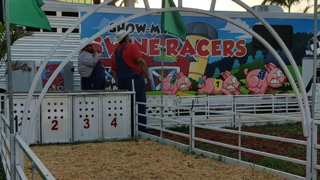 Show-Me Swine Racers - Racing Pigs — Artists & Attractions ...