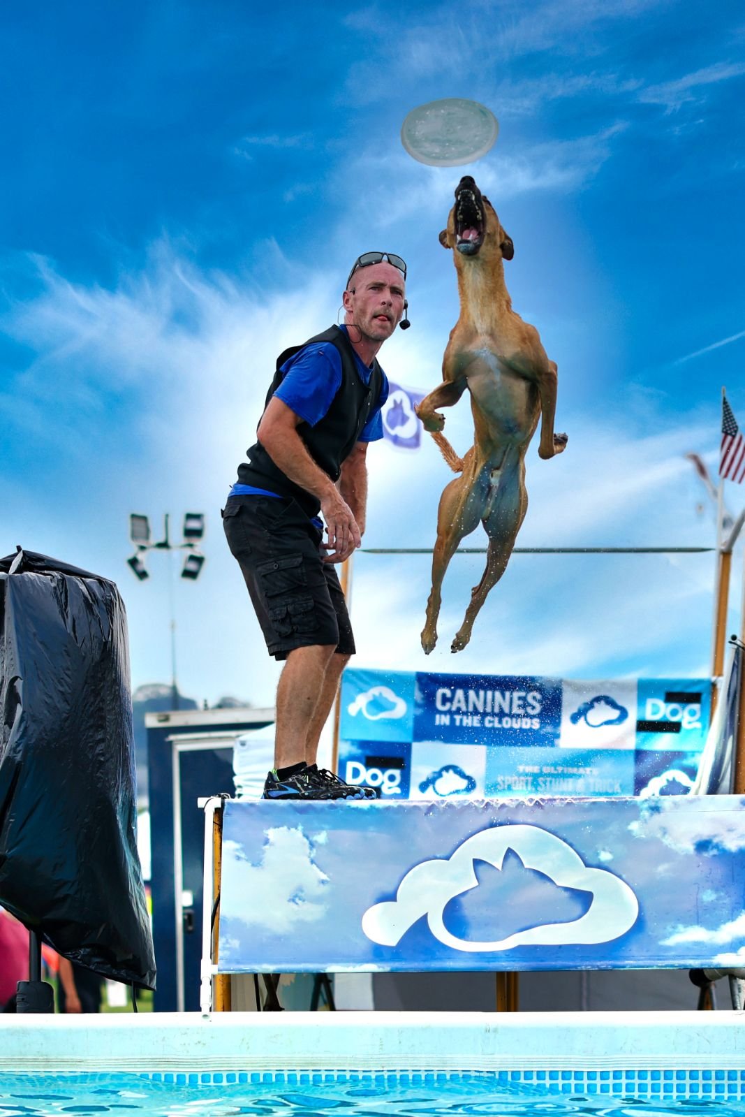 Canines In The Clouds - Artists and Attractions (2).jpeg