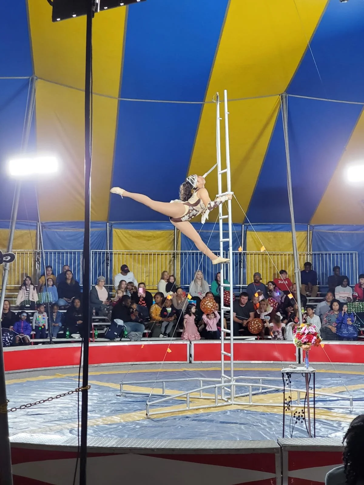 Royal Legacy Circus — Artists & Attractions - Entertainment Booking ...